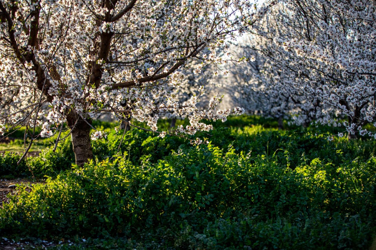 5013 E Highway 4 Road