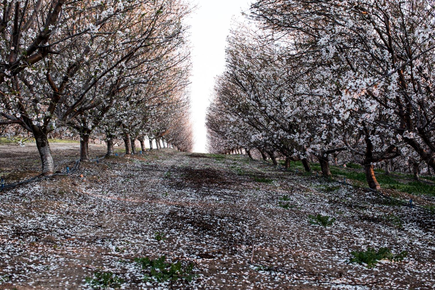 5013 E Highway 4 Road