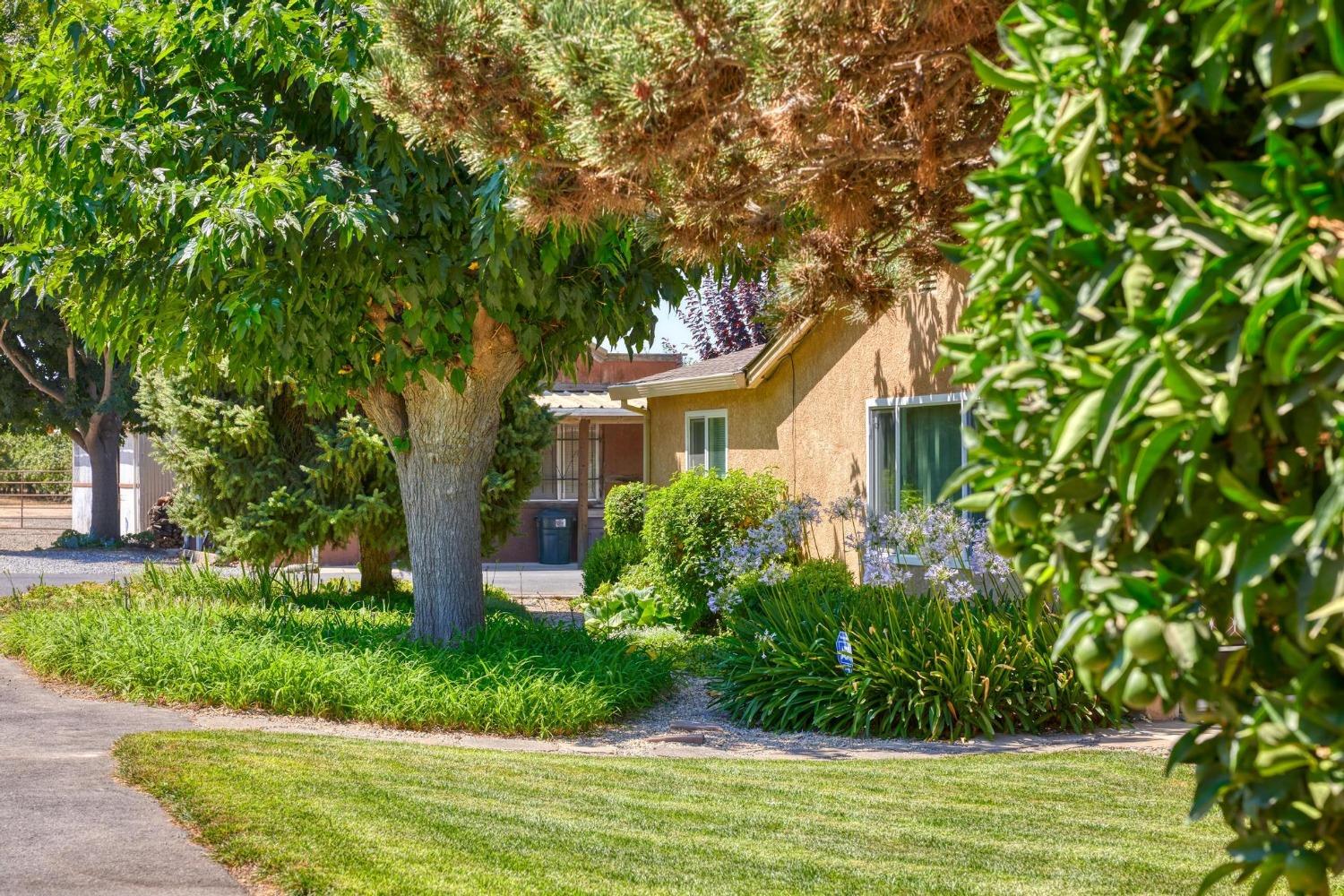 9374 Yosemite Boulevard