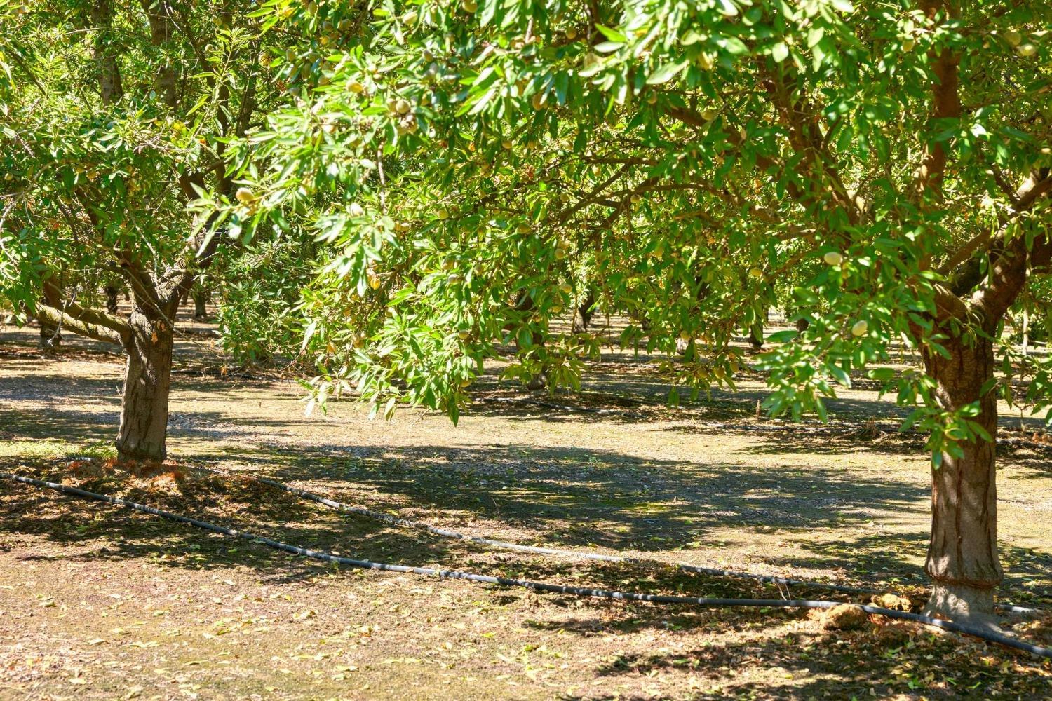 9374 Yosemite Boulevard