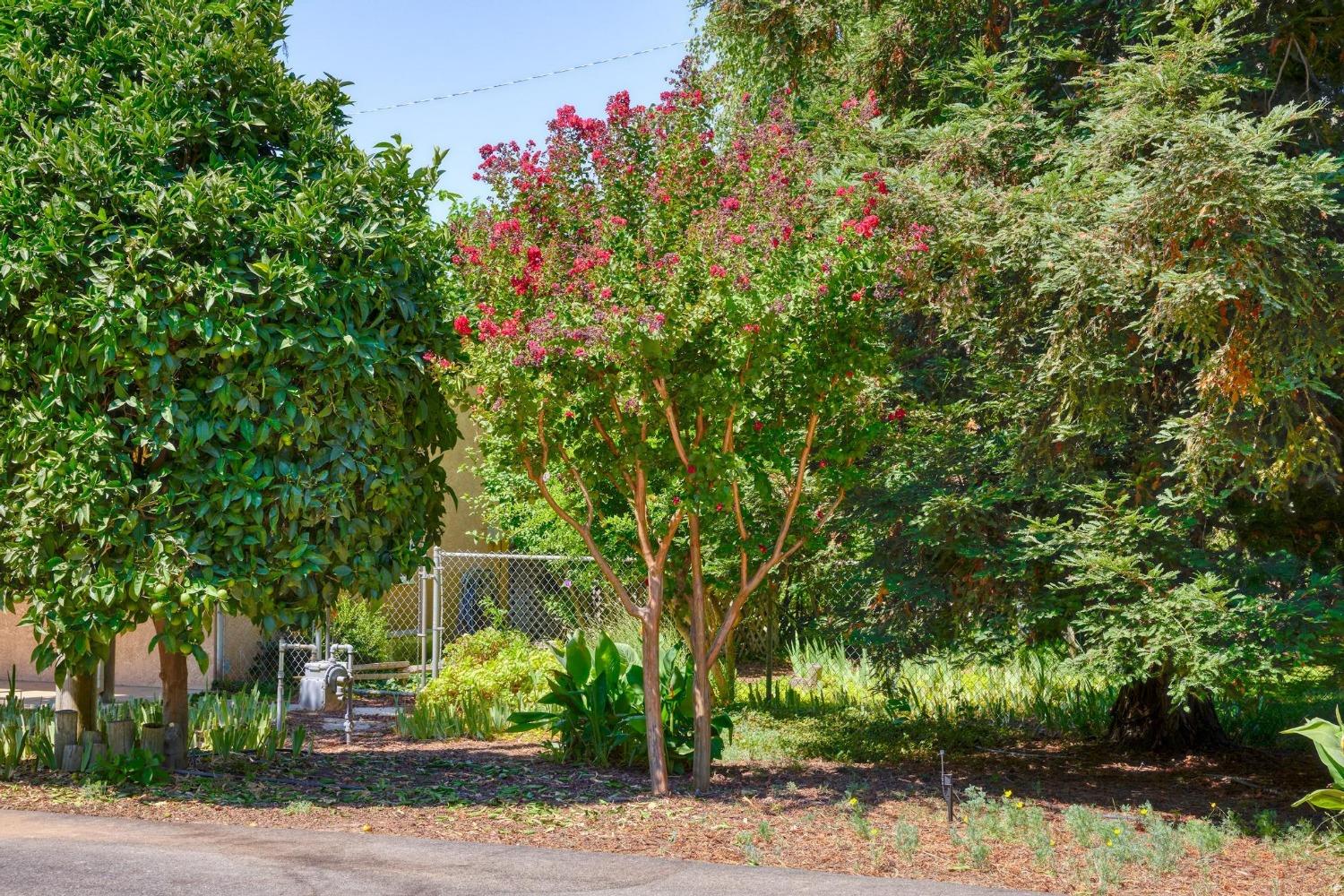 9374 Yosemite Boulevard