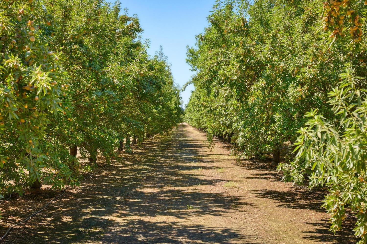 9374 Yosemite Boulevard