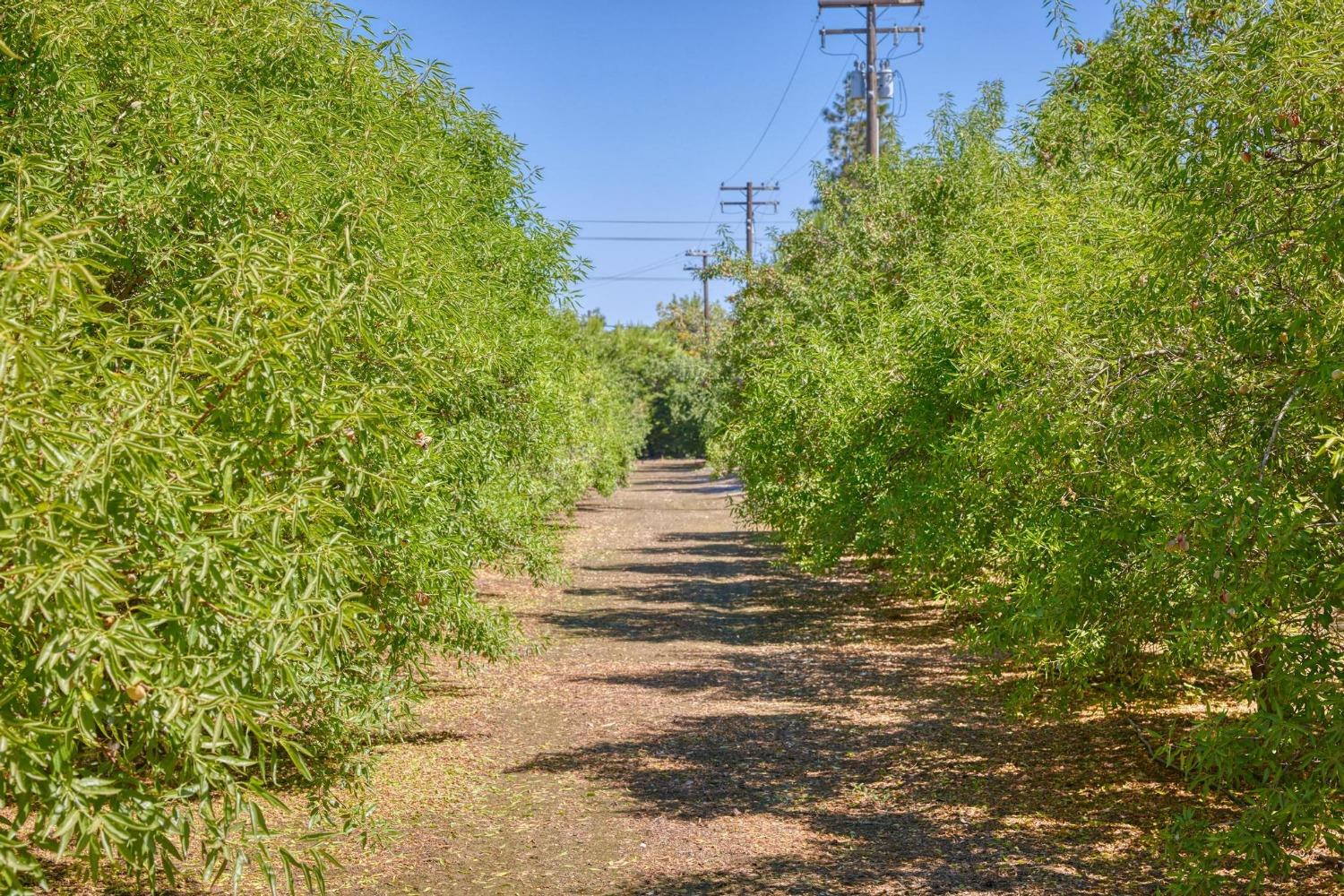 9374 Yosemite Boulevard