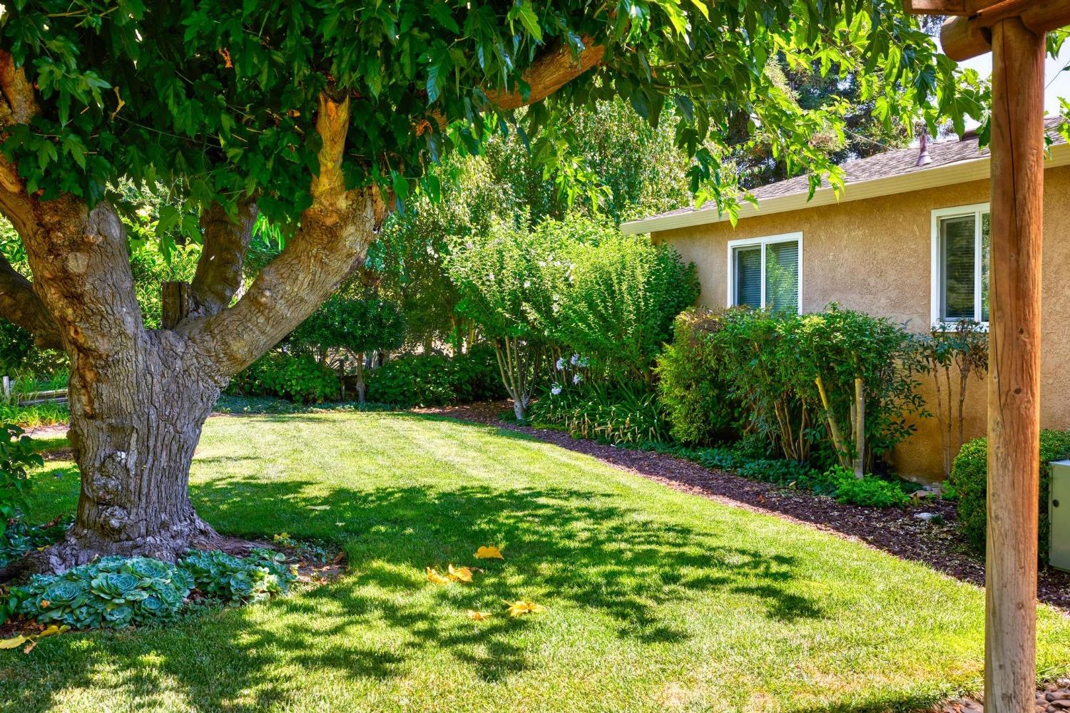 9374 Yosemite Boulevard