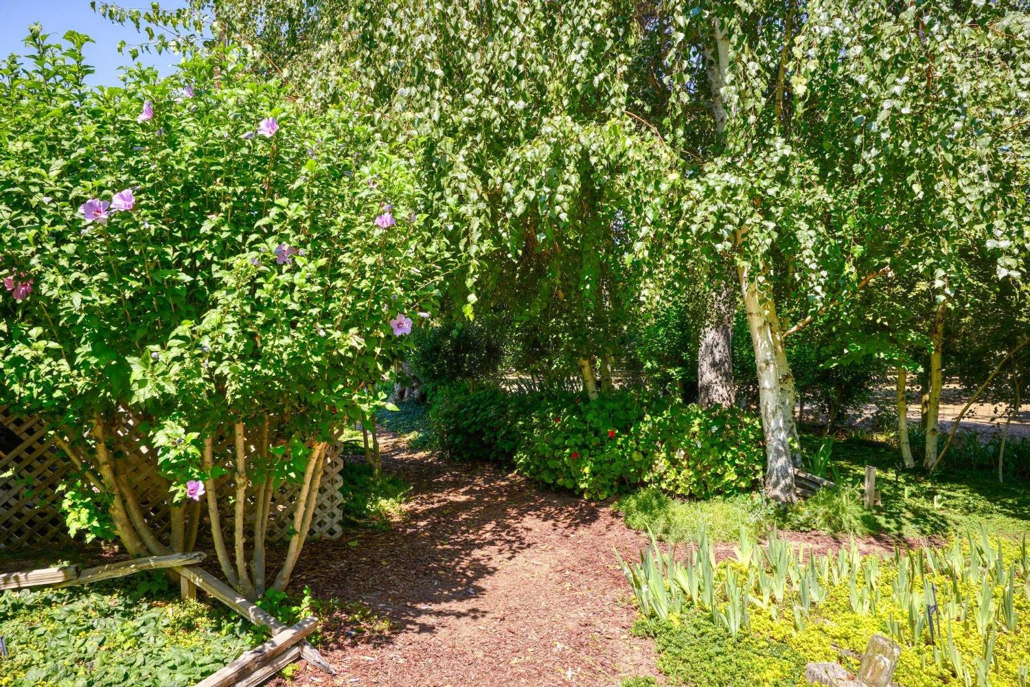 9374 Yosemite Boulevard