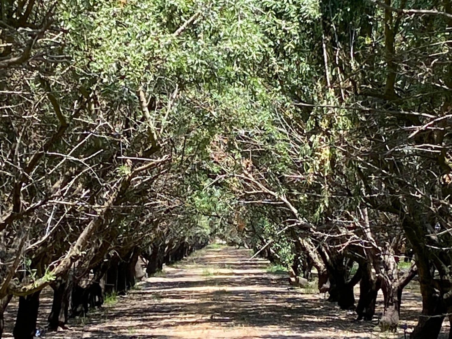 936 St Francis Avenue