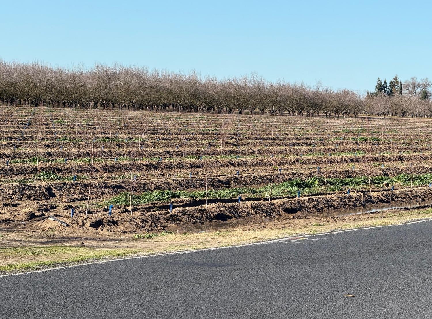 18843 S Carrolton Avenue