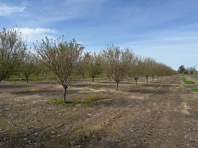 0 Leedom & Mt View Rd, Corner