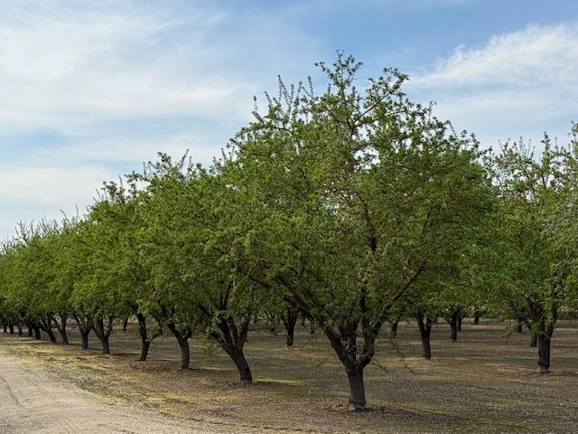 0 Leedom & Mt View Rd, Corner