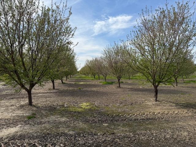 0 Leedom & Mt View Rd, Corner