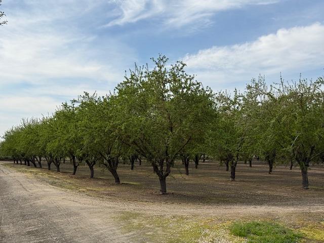 0 Leedom & Mt View Rd, Corner