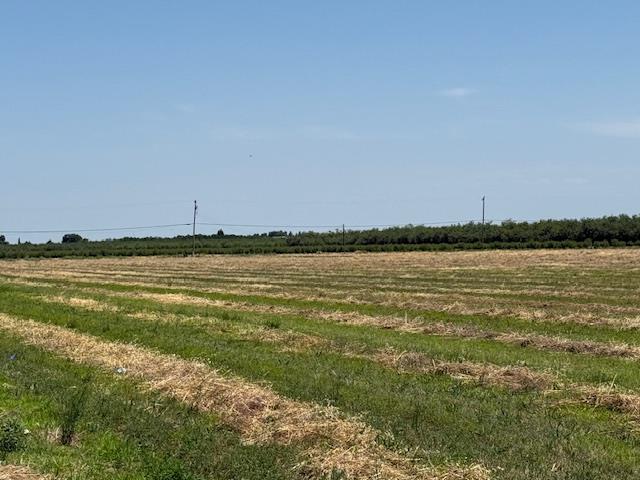 20228 S Harrold Avenue