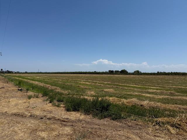 20228 S Harrold Avenue