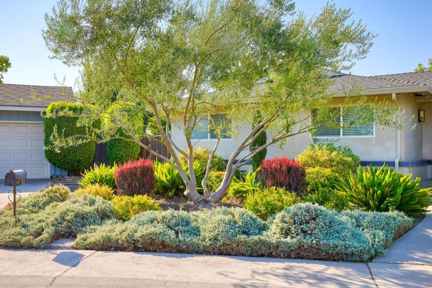 1028 Springfield Way