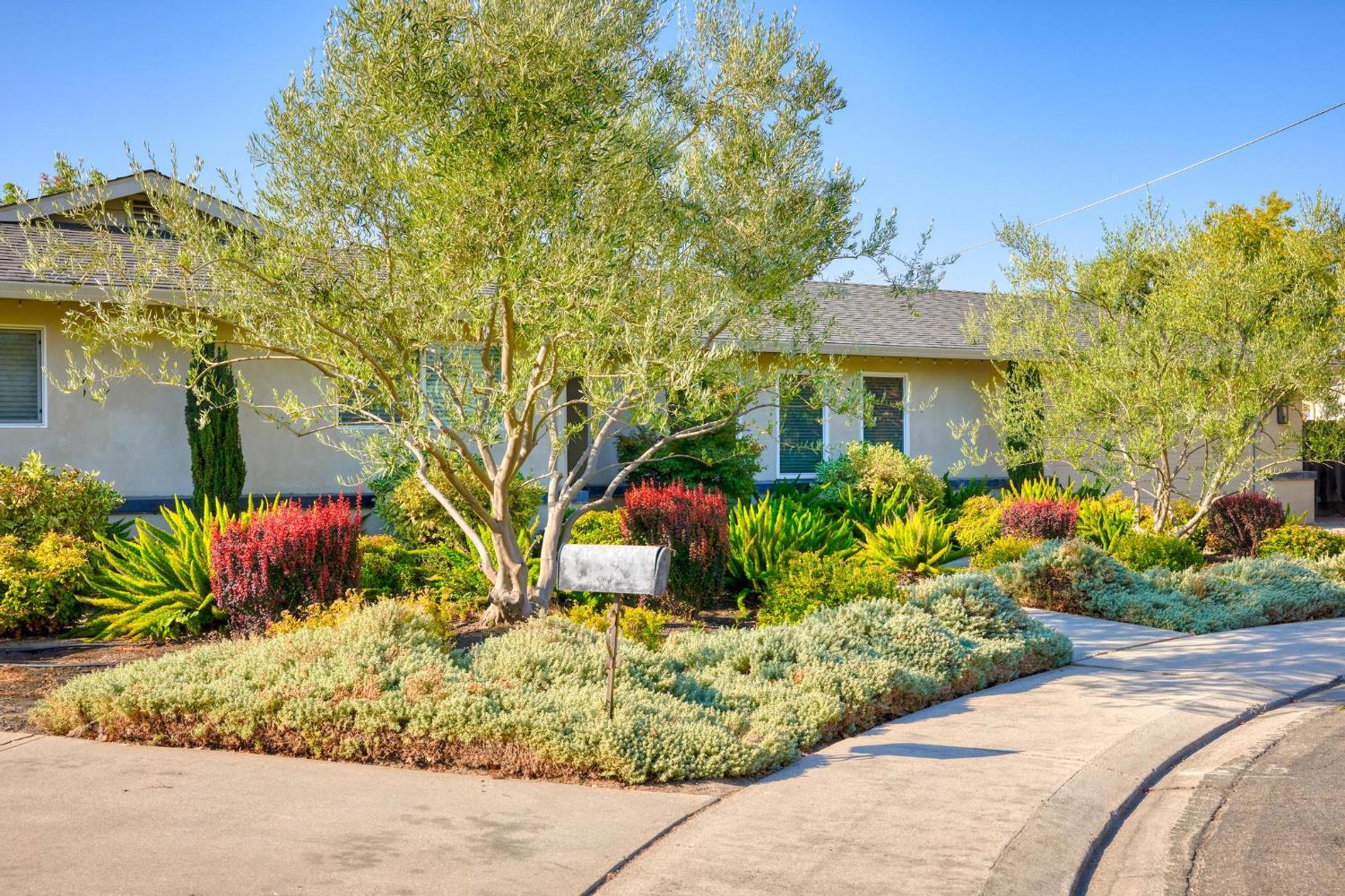 1028 Springfield Way