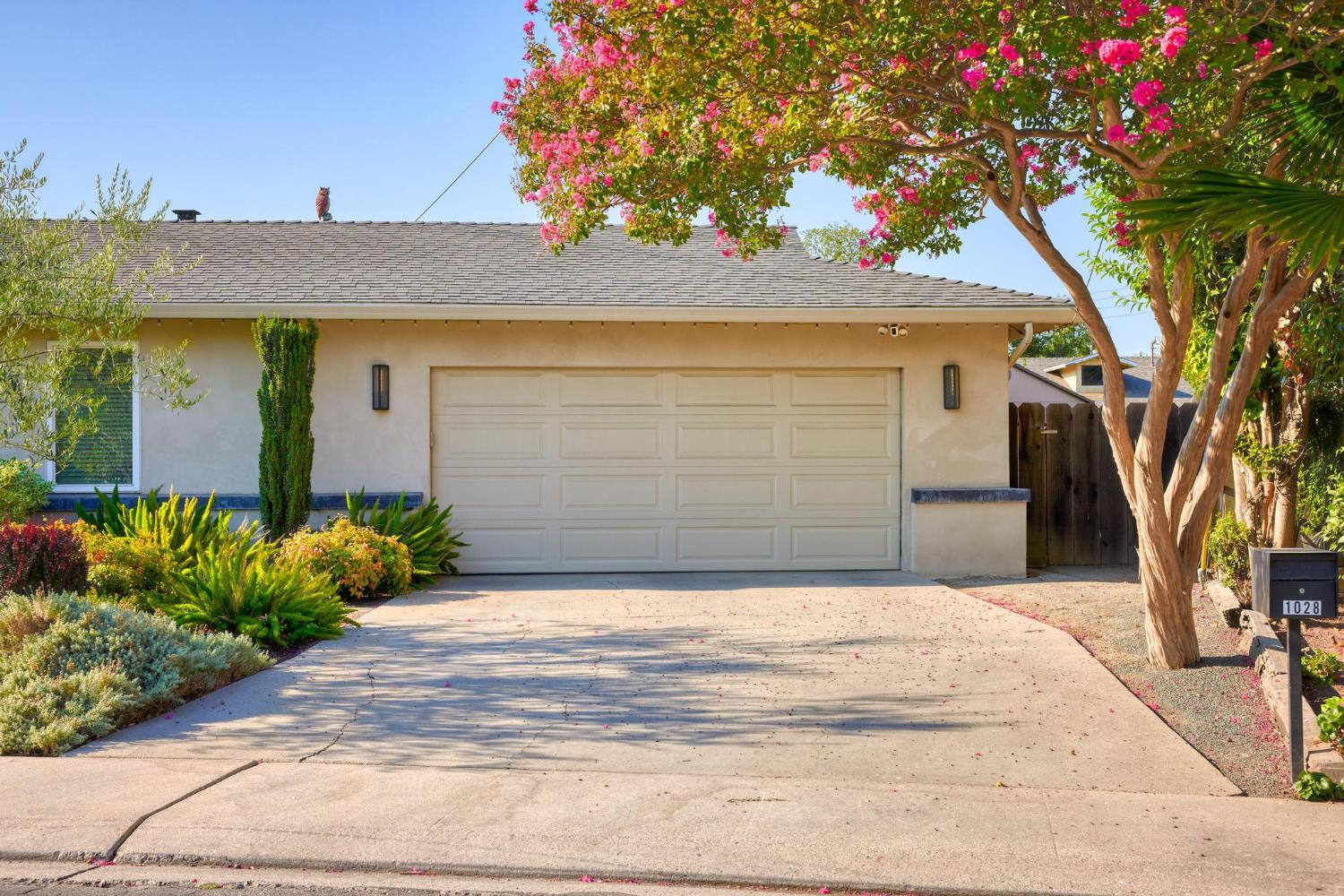 1028 Springfield Way