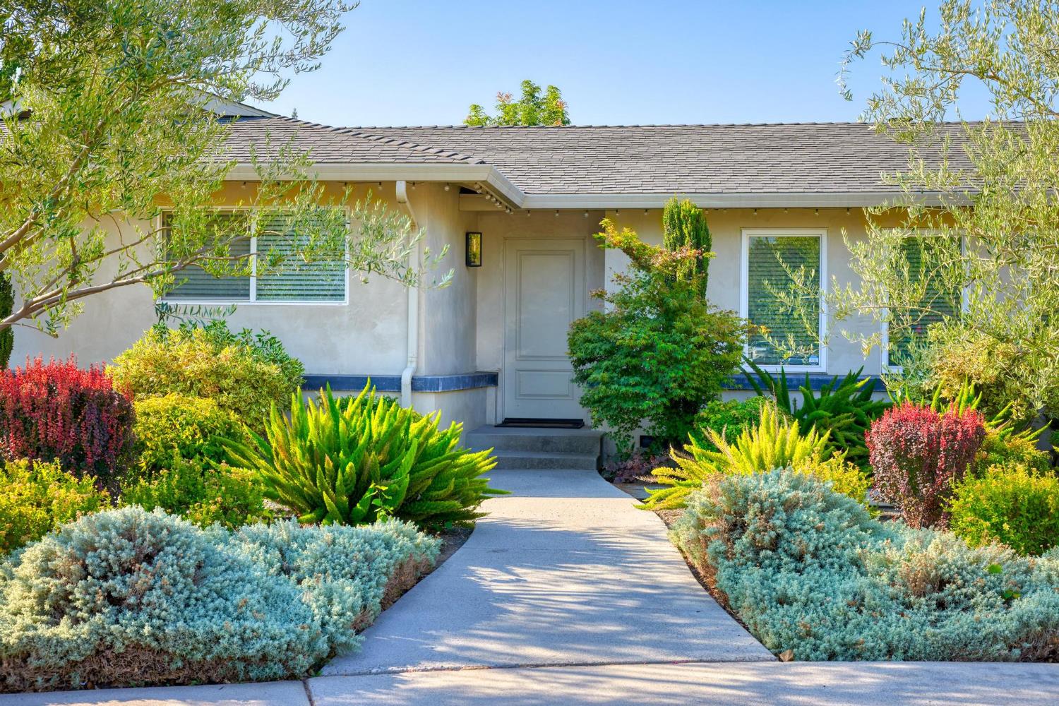 1028 Springfield Way