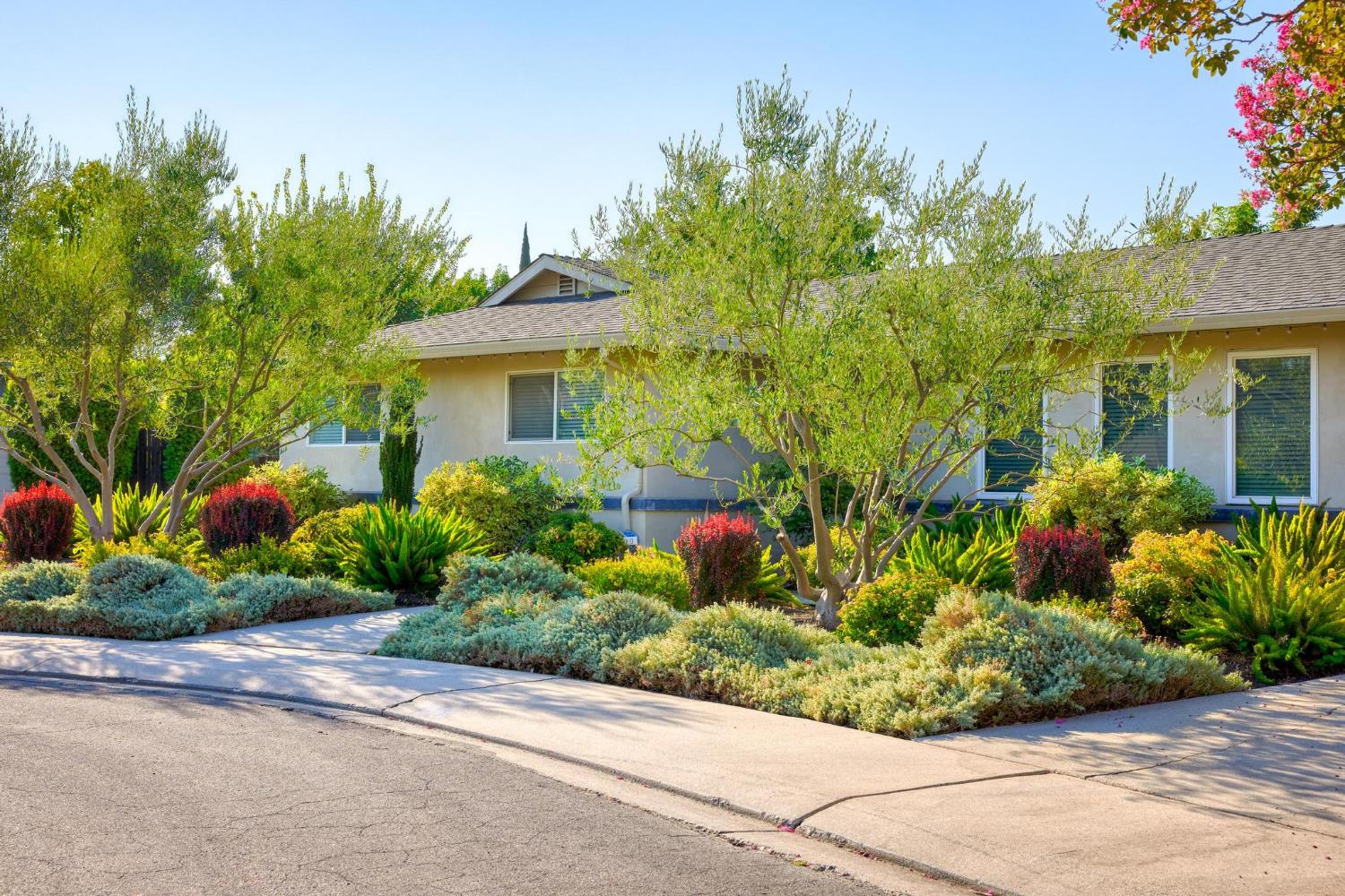 1028 Springfield Way