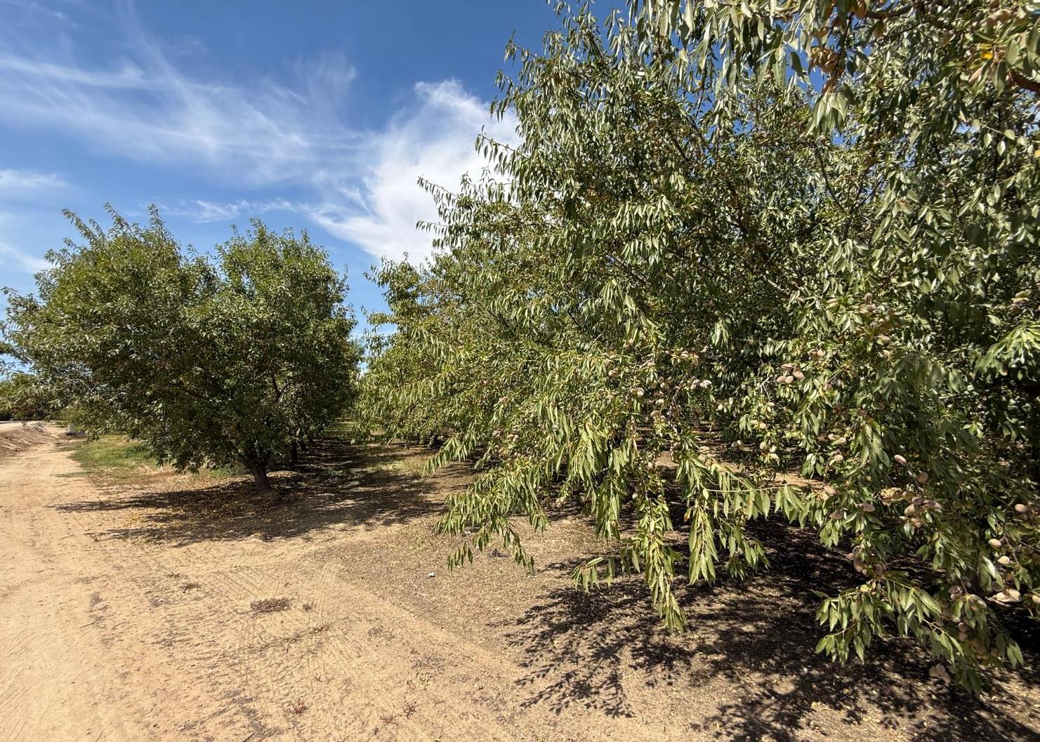 5820 Yosemite Boulevard