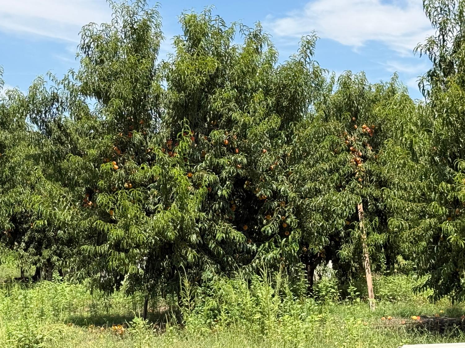 5820 Yosemite Boulevard