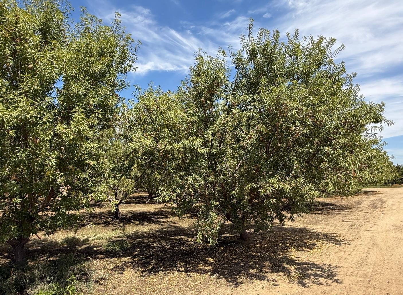 5820 Yosemite Boulevard