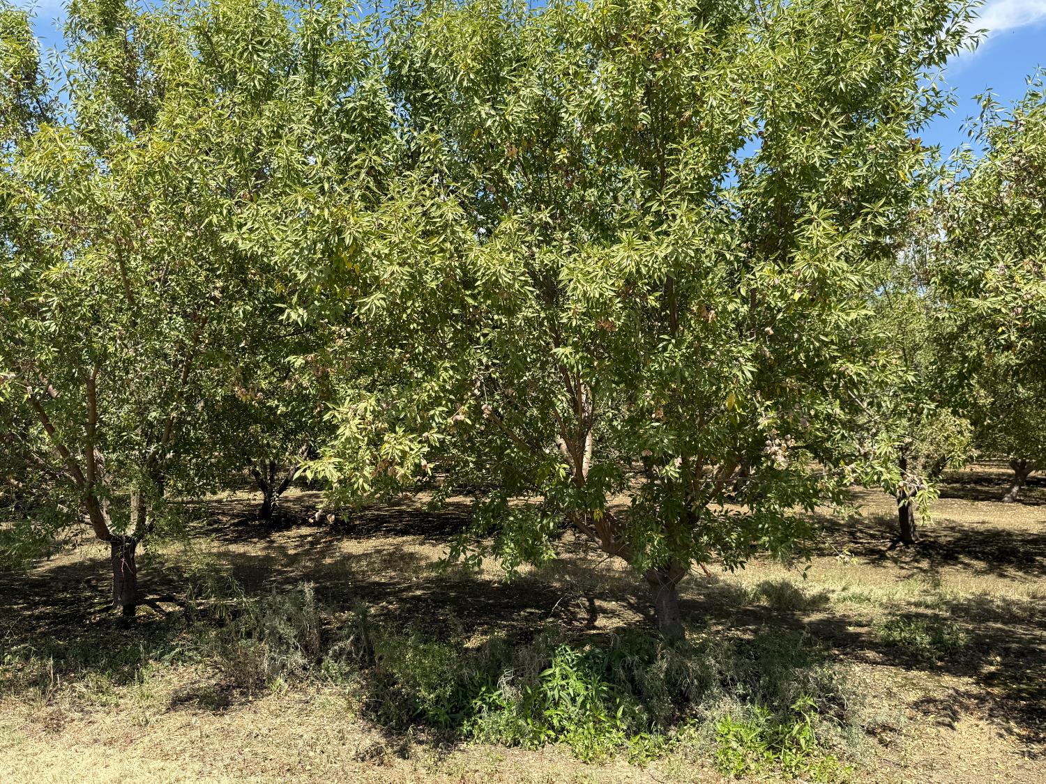 5820 Yosemite Boulevard