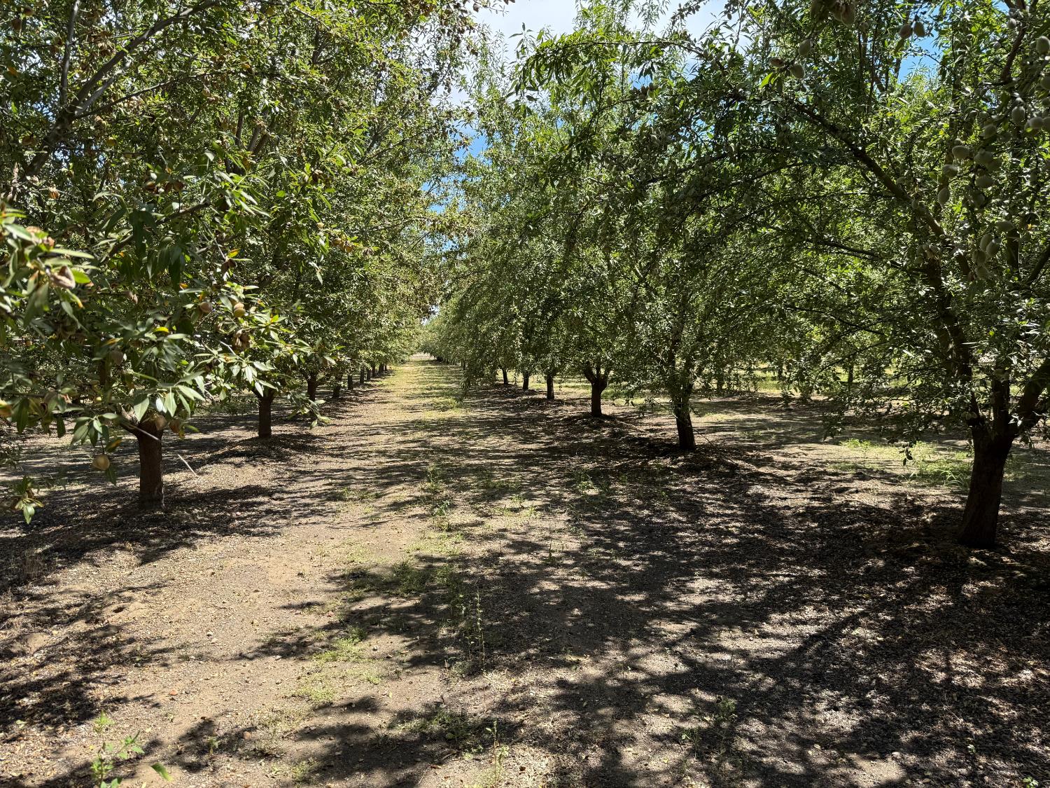 5820 Yosemite Boulevard