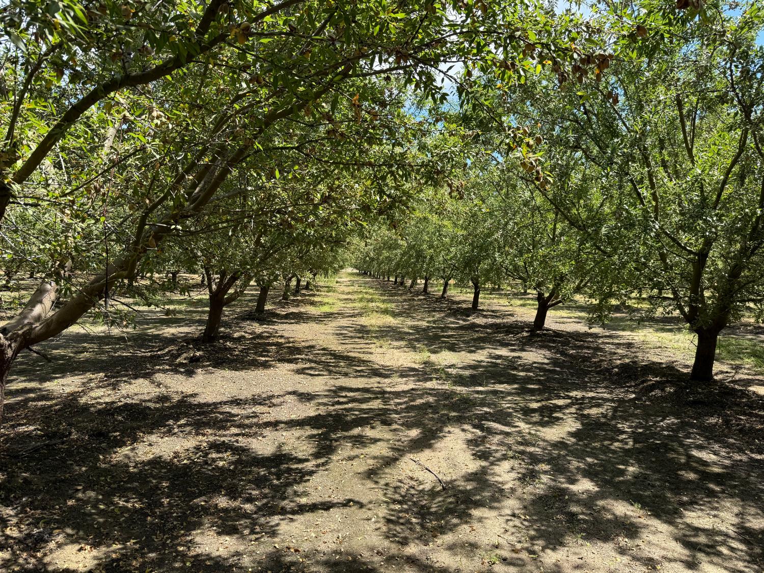 5820 Yosemite Boulevard