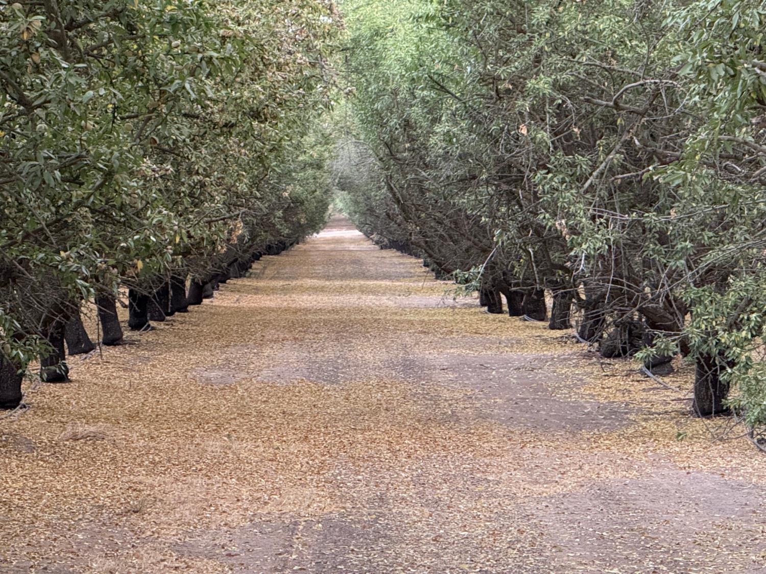 0 E Keyes Road