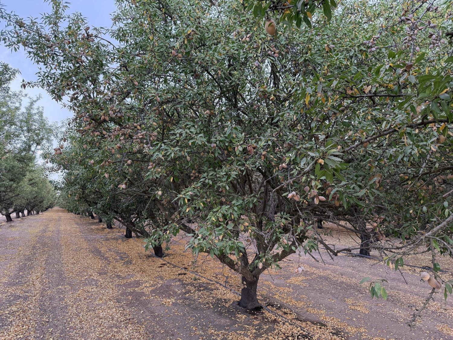 0 E Keyes Road