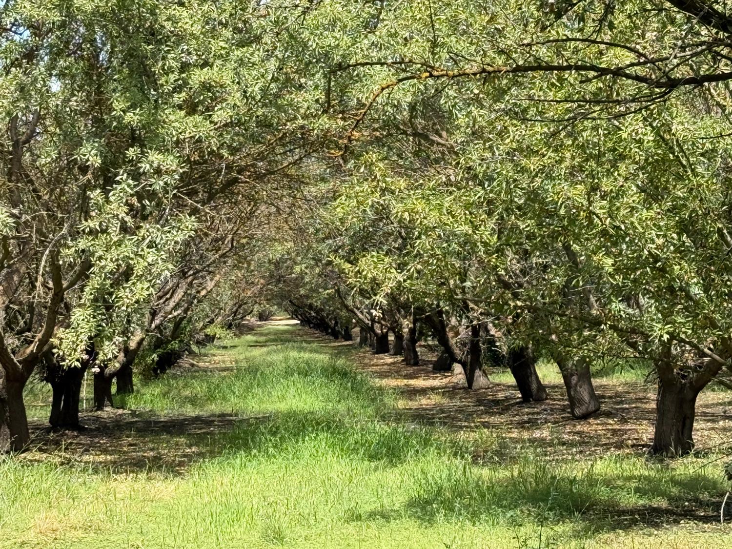 0 Yosemite Blvd. Boulevard