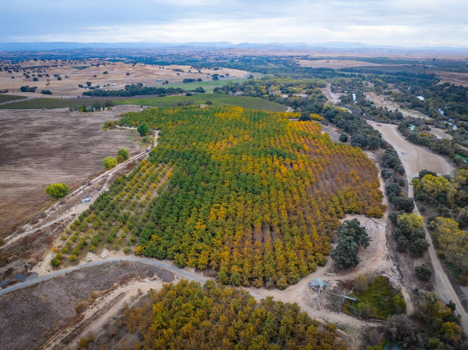 24608 Yosemite Boulevard