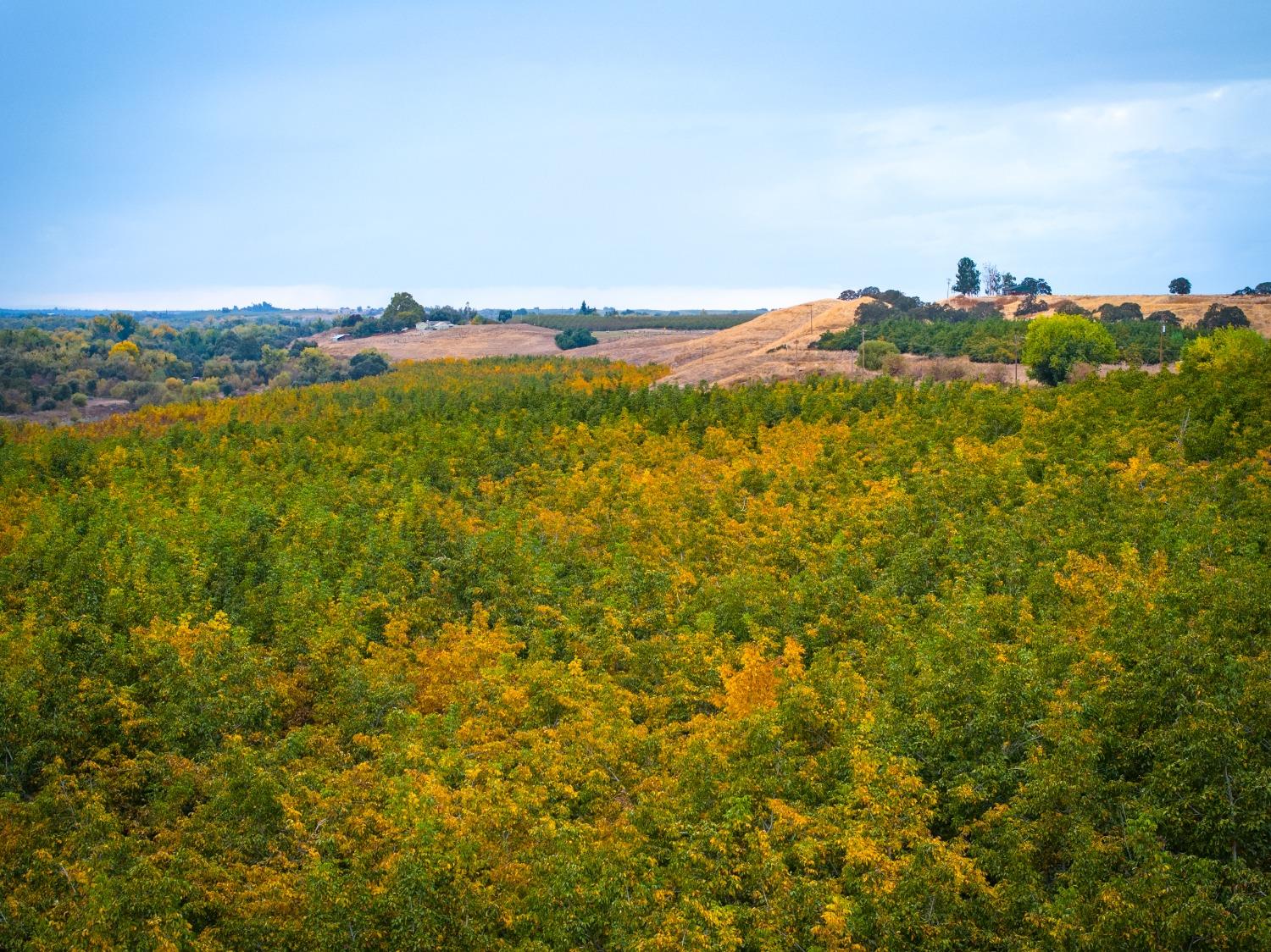 24608 Yosemite Boulevard