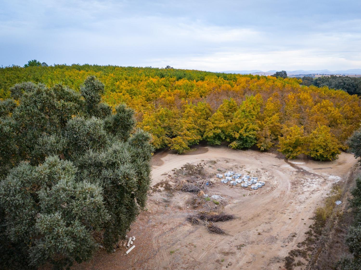 24608 Yosemite Boulevard