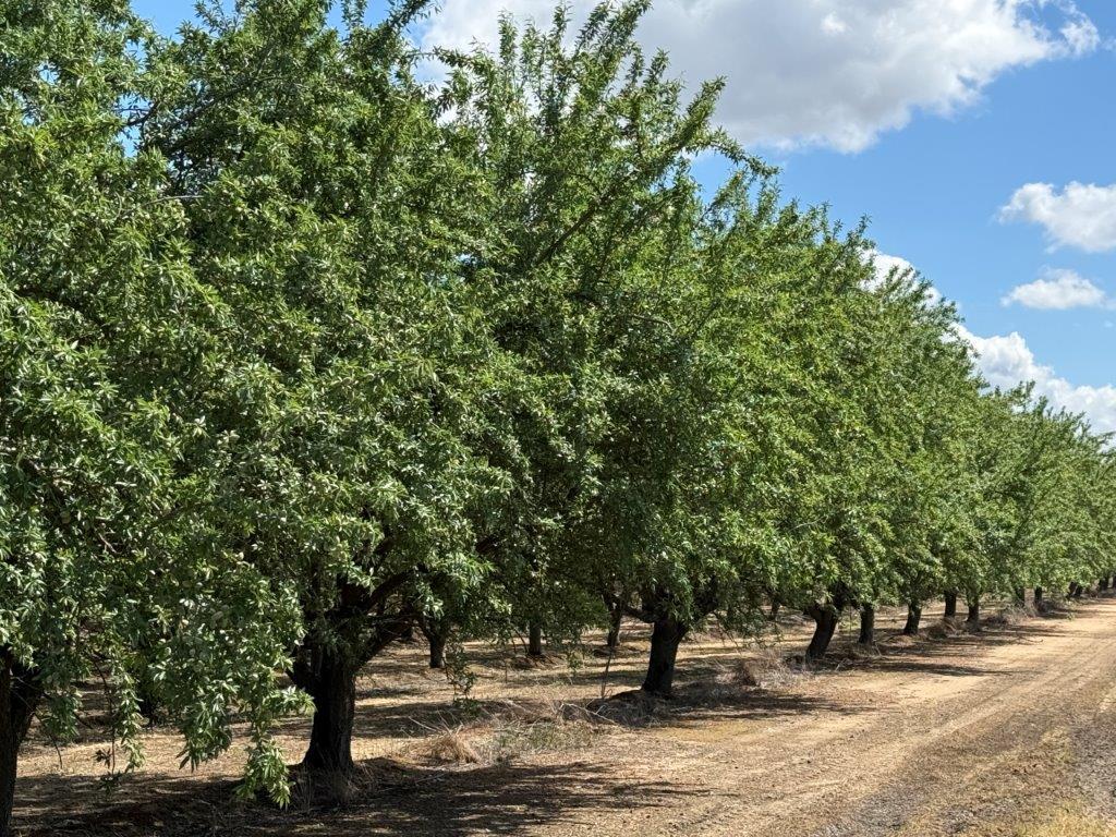 1 Buchanan Hollow Road