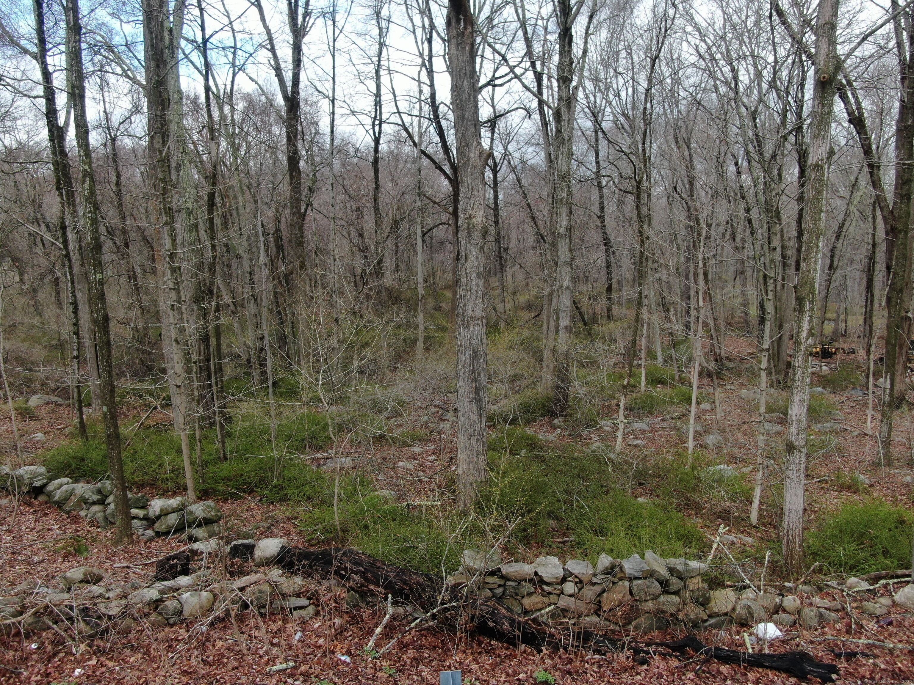 242 Whalehead Road