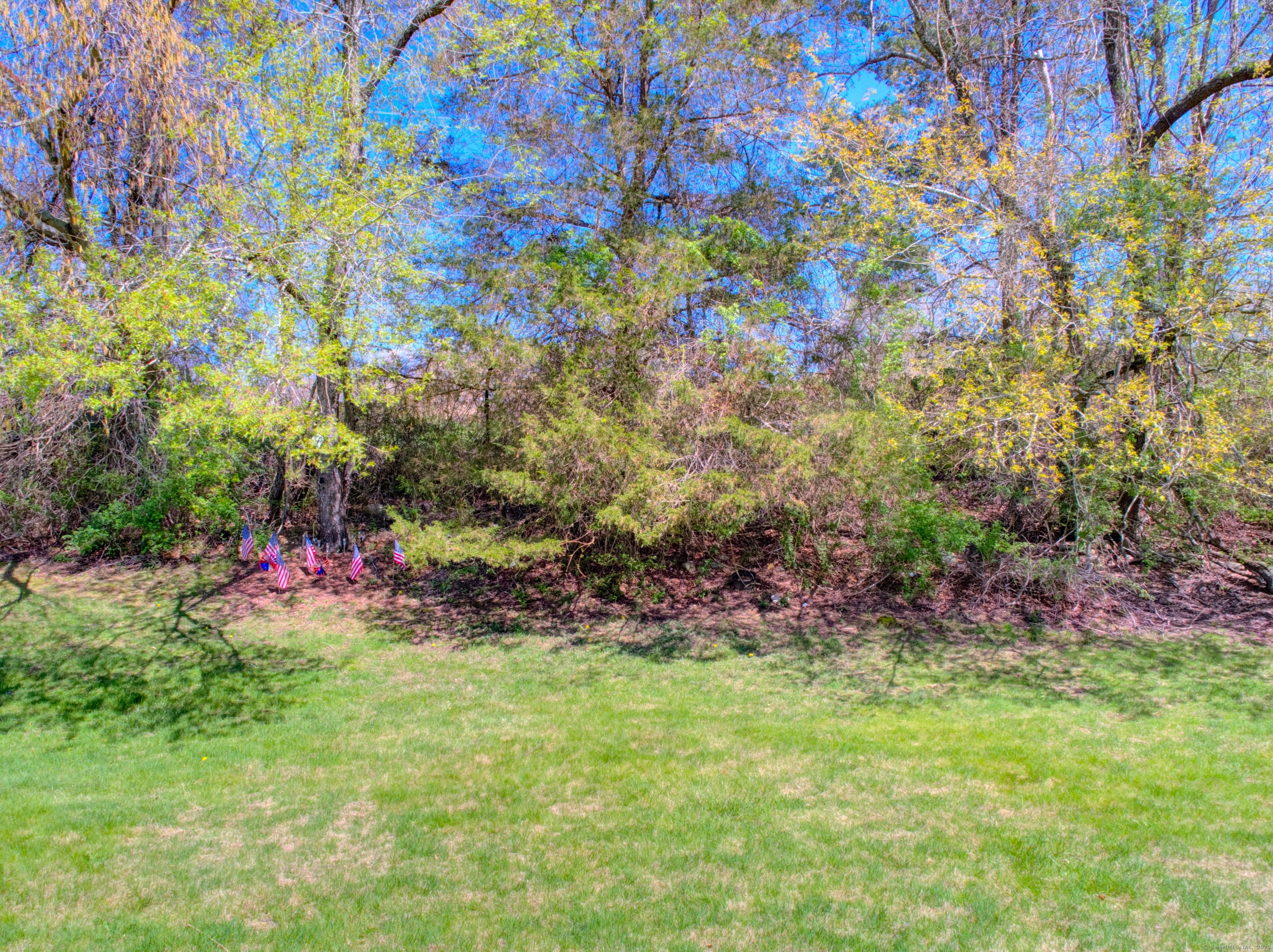24 Allen Drive APT C