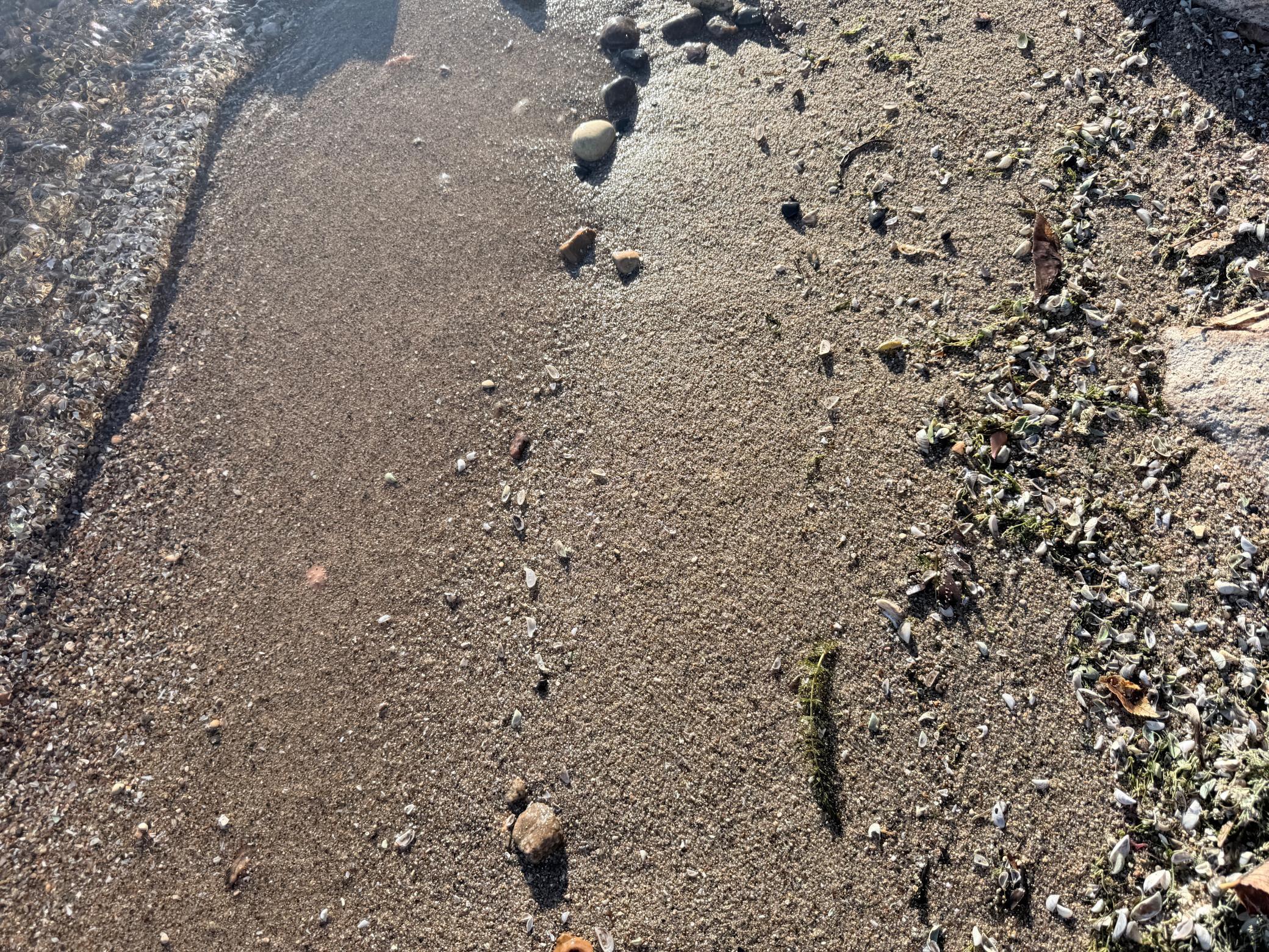 22558 Senns Beach Drive