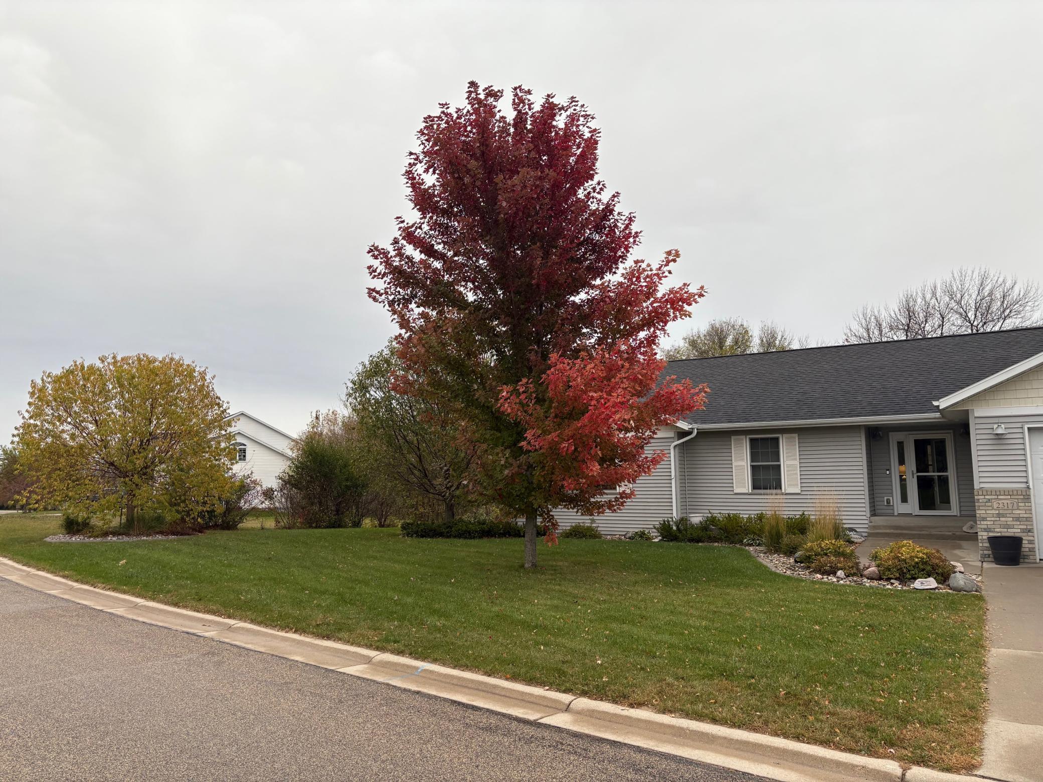 2317 Hillcrest Lane