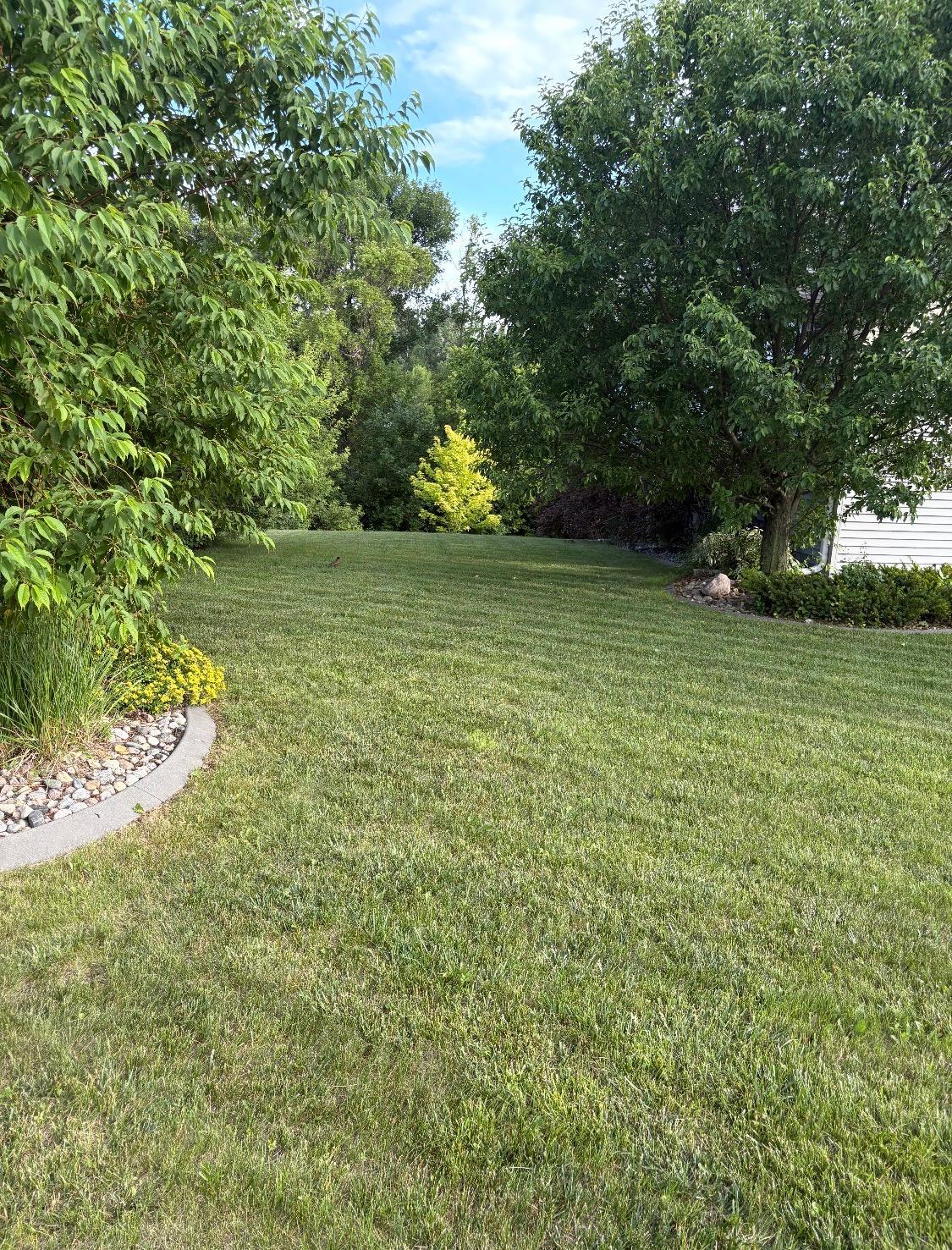 2317 Hillcrest Lane