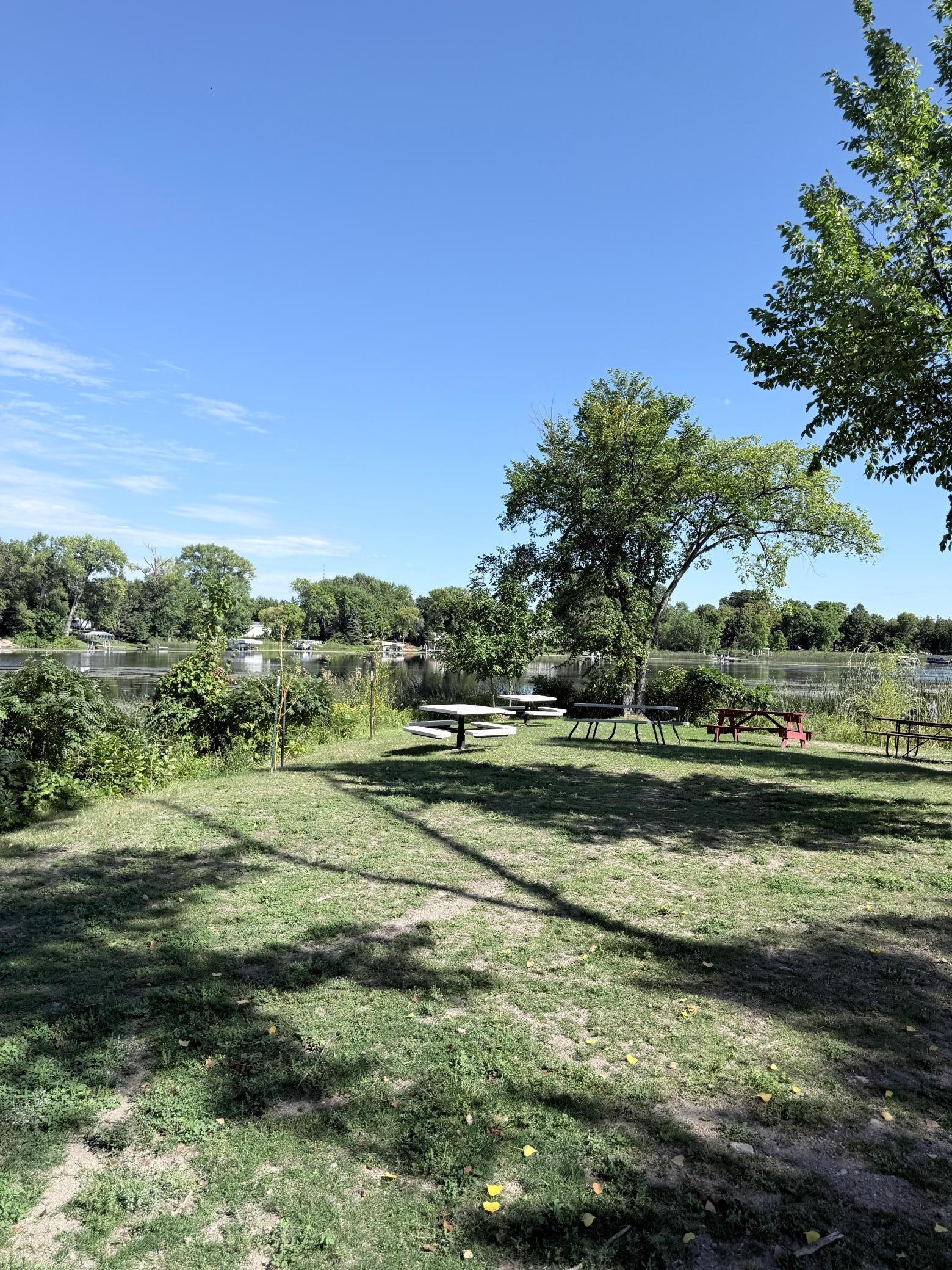 Grassy lakeside picnic area with tables and mature trees overlooking the water.