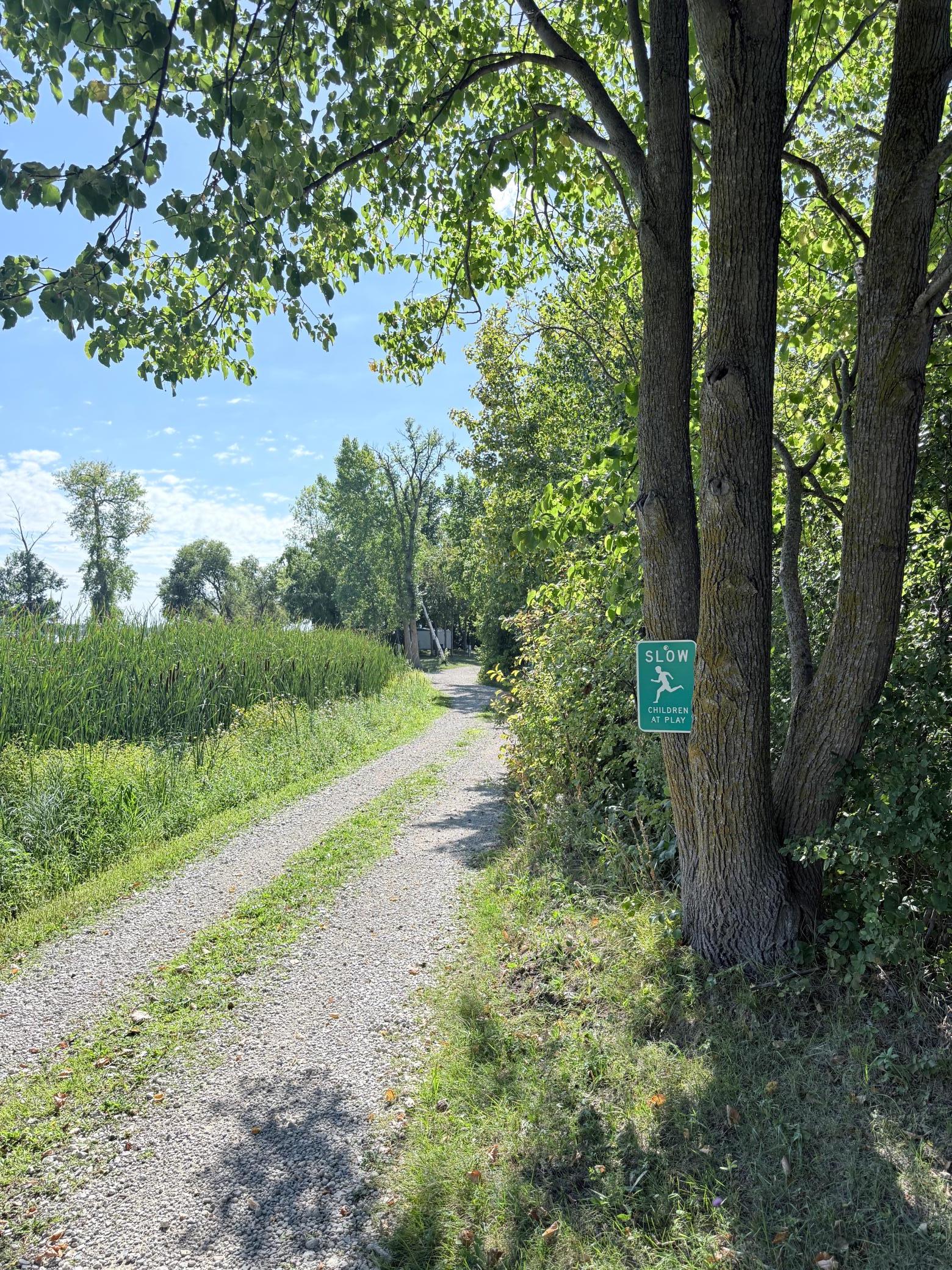 Gravel path through leafy grounds, with tall reeds and a slow-children-at-play sign.