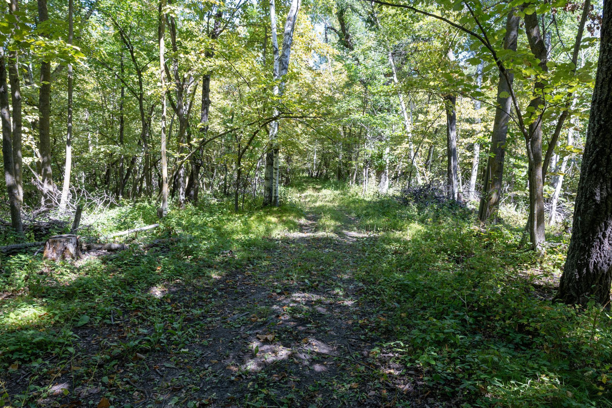 15977 State Highway 34