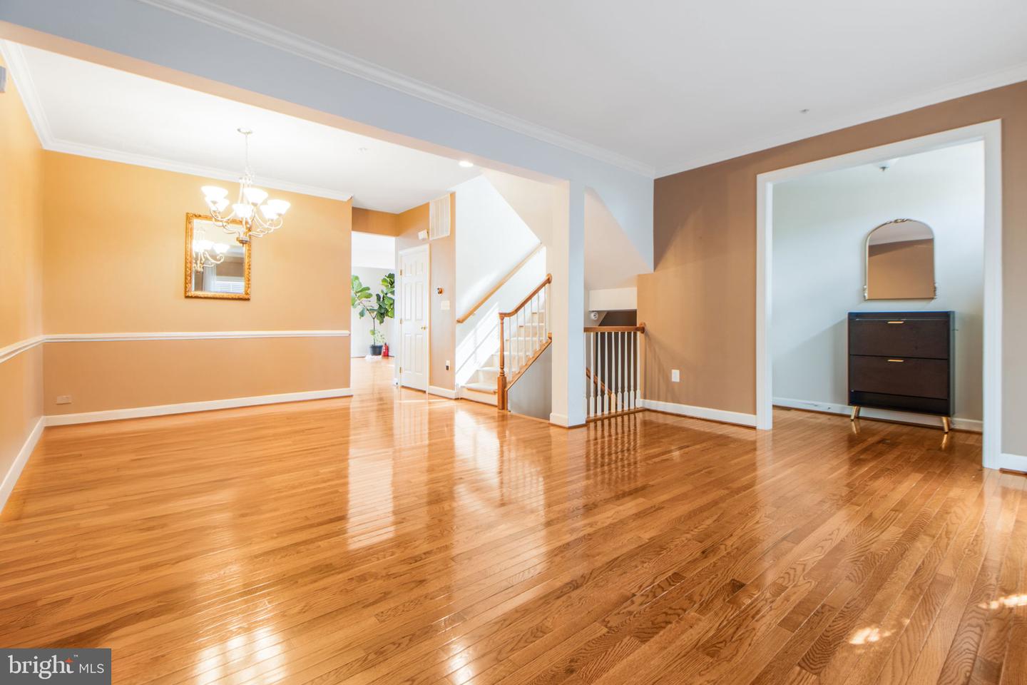 1545 Rutland Way
