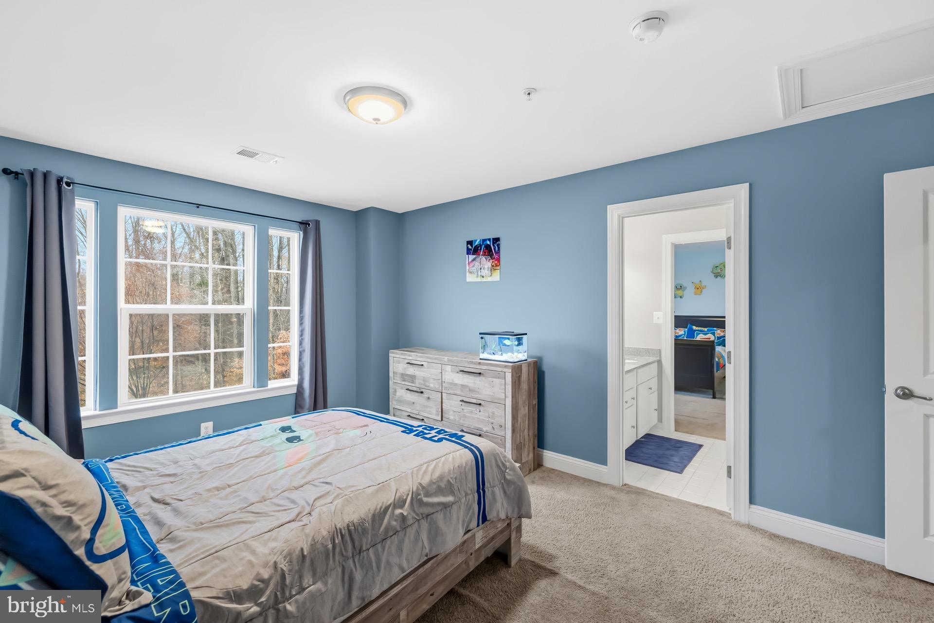 14200 TULIP REACH COURT