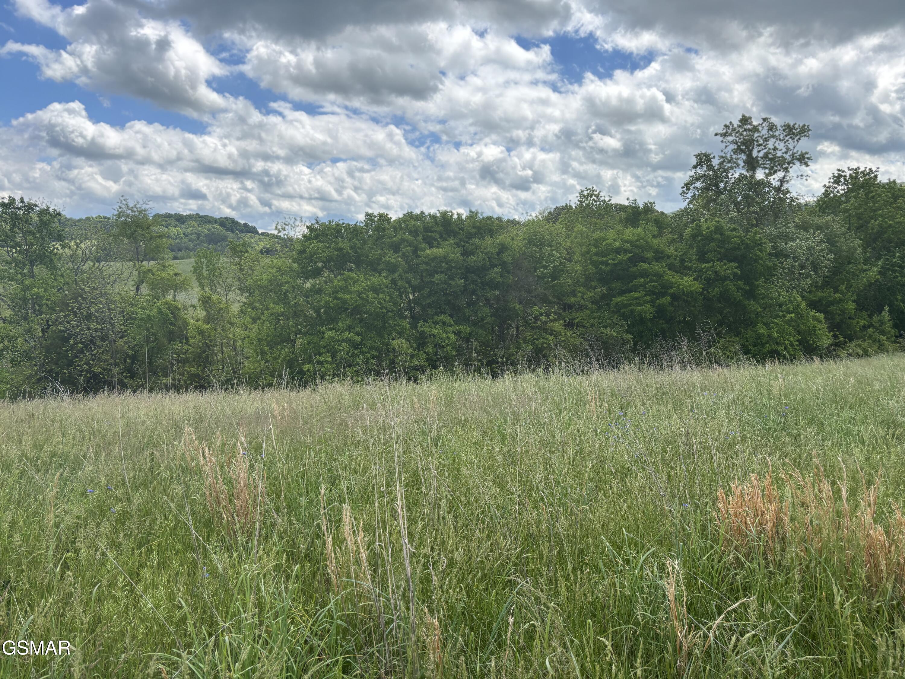 Lot 19R Little Meadow Creek Road