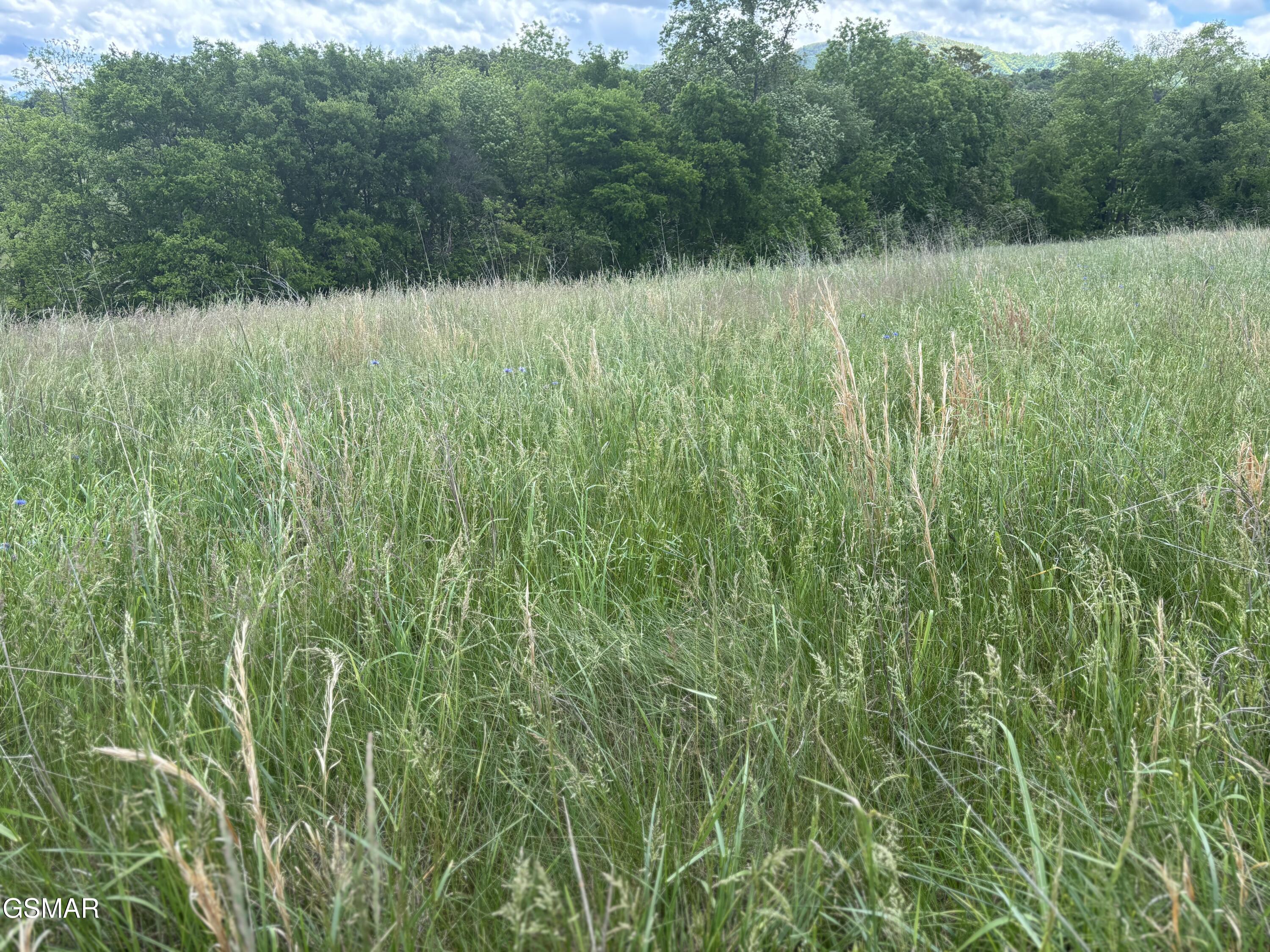 Lot 19R Little Meadow Creek Road