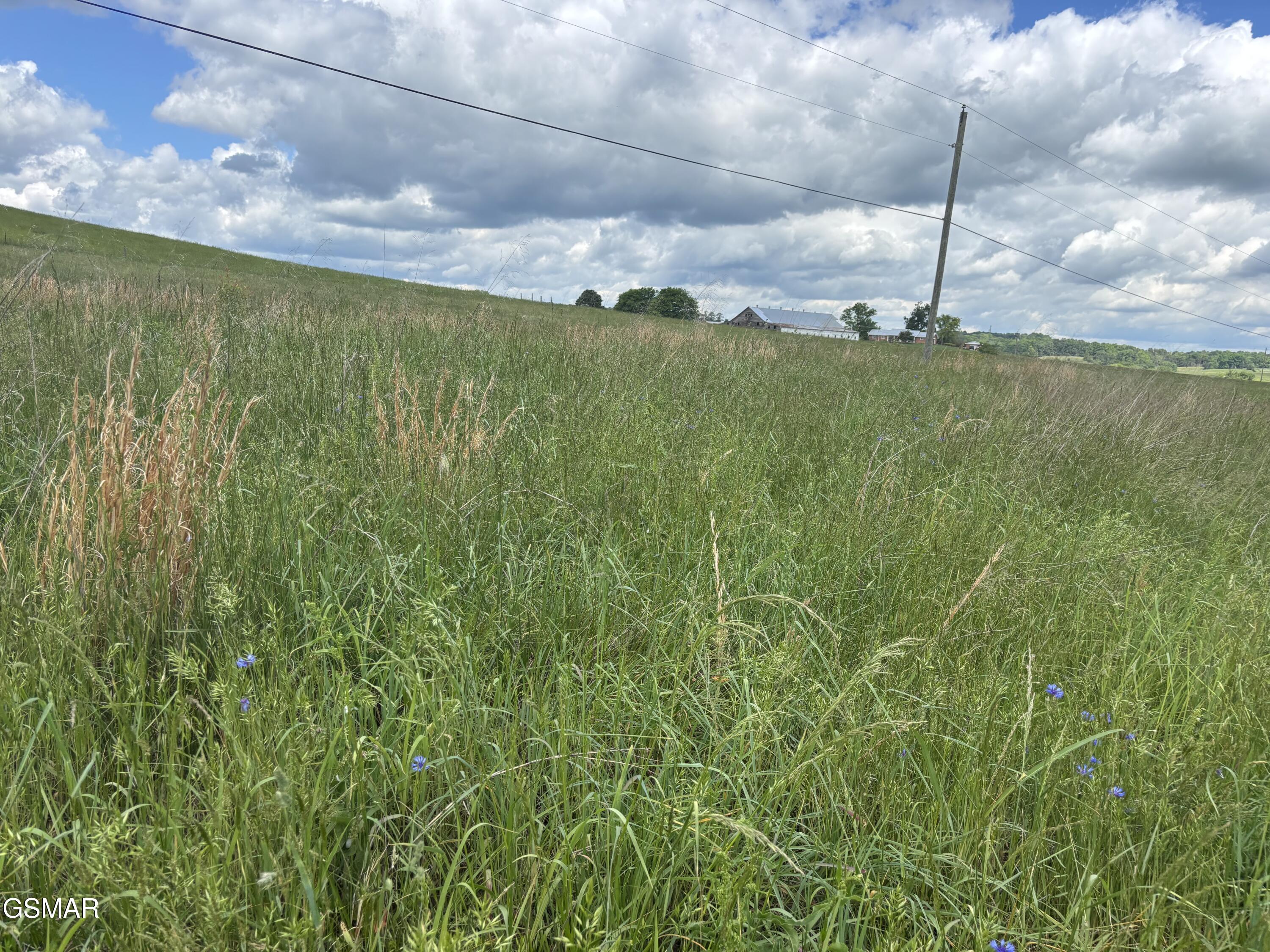 Lot 19R Little Meadow Creek Road