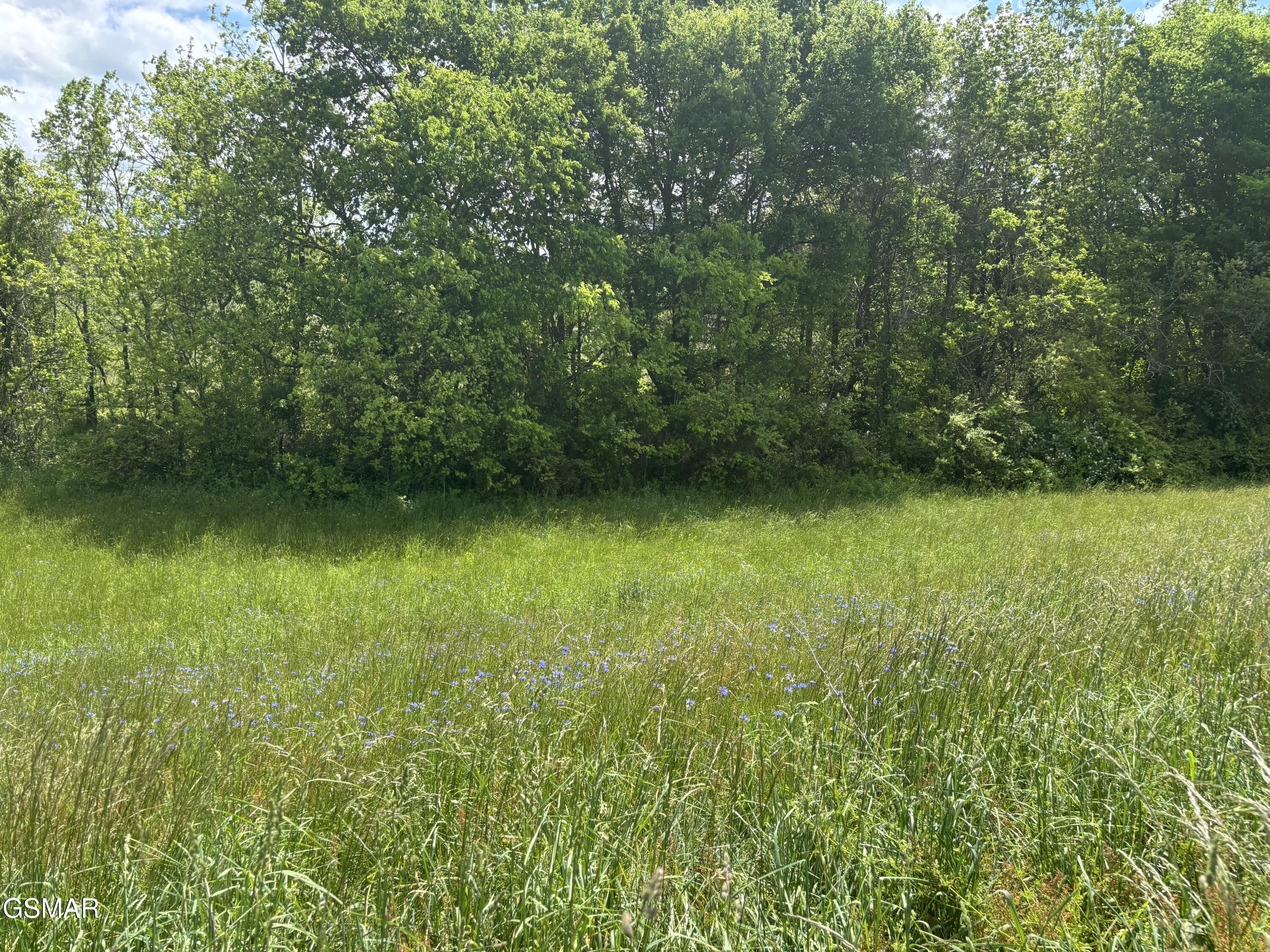 Lot 19R Little Meadow Creek Road