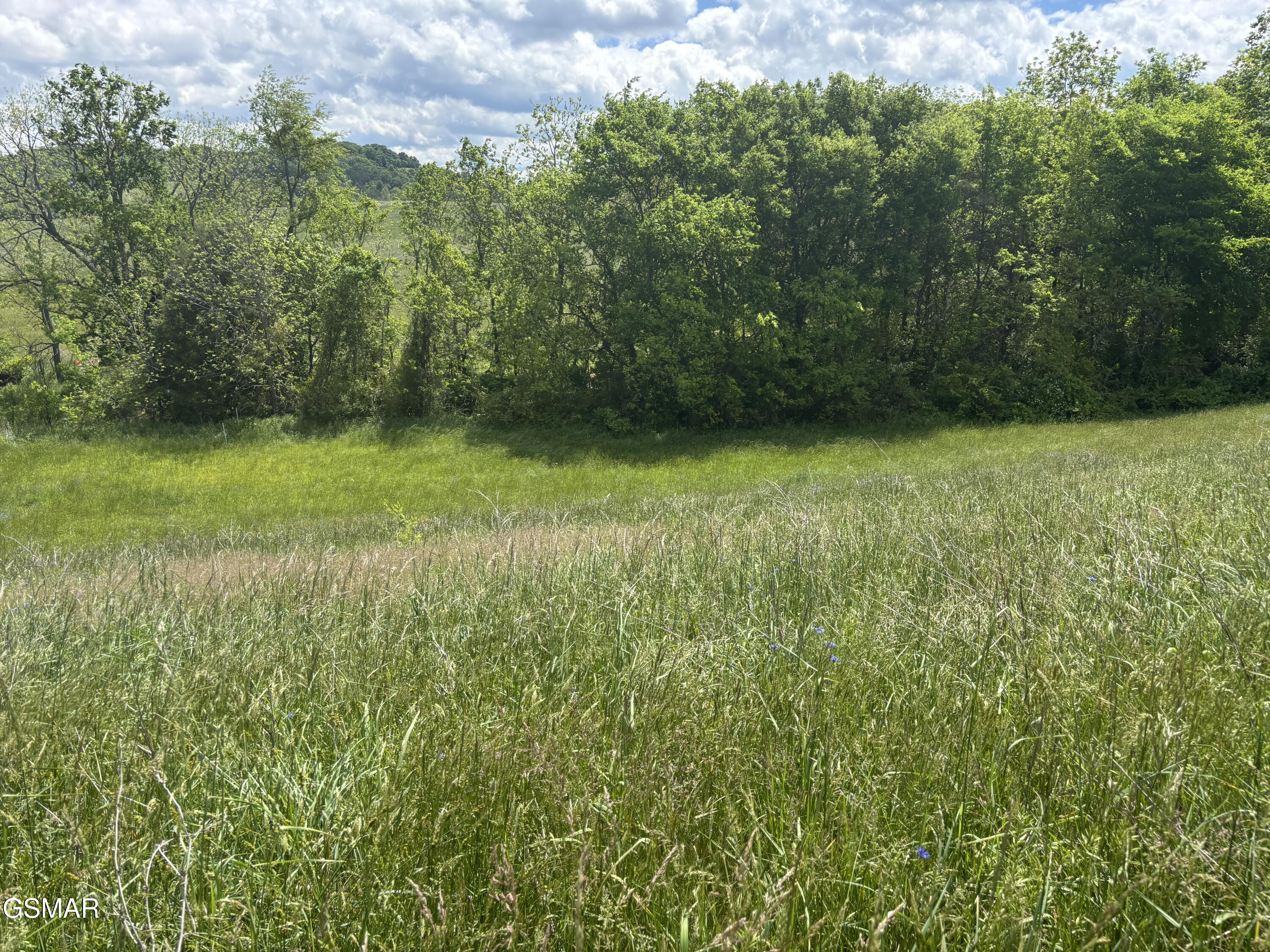 Lot 19R Little Meadow Creek Road